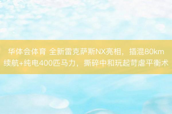 华体会体育 全新雷克萨斯NX亮相,插混80km续航+纯电400匹马力,撕碎中和玩起苛虐平衡术