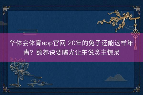 华体会体育app官网 20年的兔子还能这样年青？颐养诀要曝光让东说念主惊呆